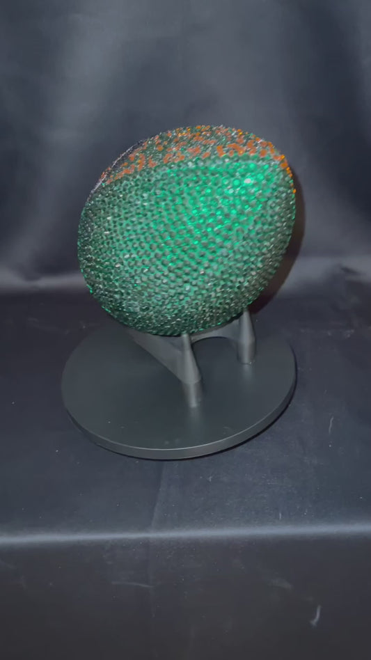 Florida A&M University (FAMU) Bling Football